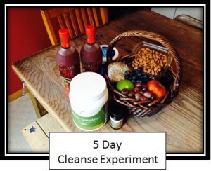 5 Day Cleanse - Brian