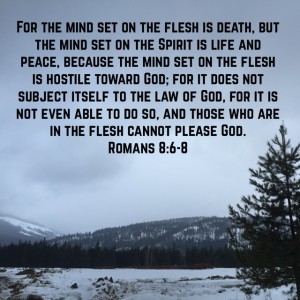 Romans 8:6-8 NASB